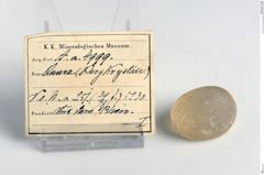 Foto von Quarz (Bergkristall) (NHMW-MIN-Aa4999)